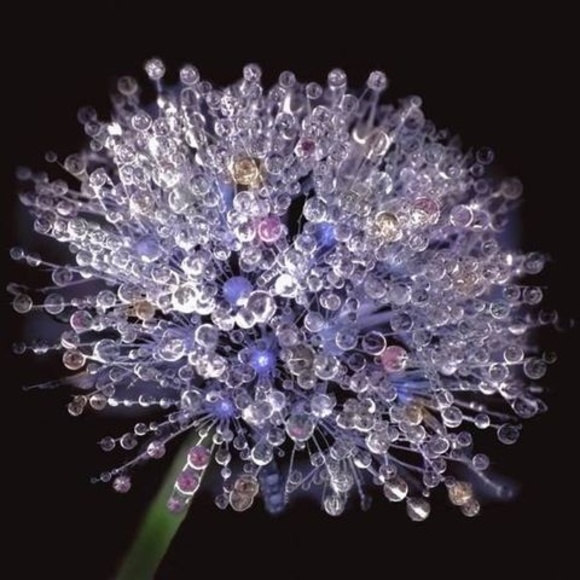 Meet your Posher, Christi - Picture 1 of 1